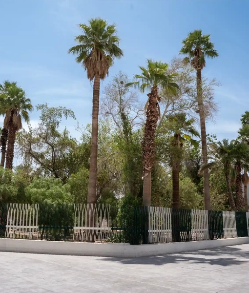 Saqifah Bani Sa'adah