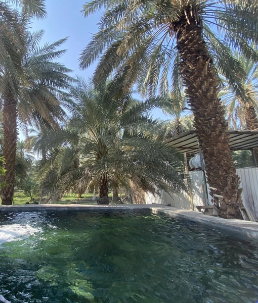 Well and Garden of Salman al-Farsi