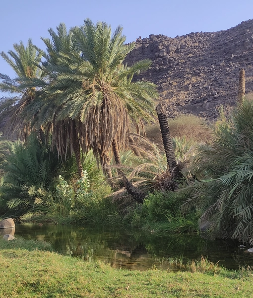 Wadi E Khadra