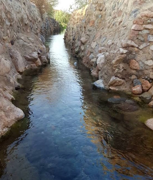 Umm Al Iyal